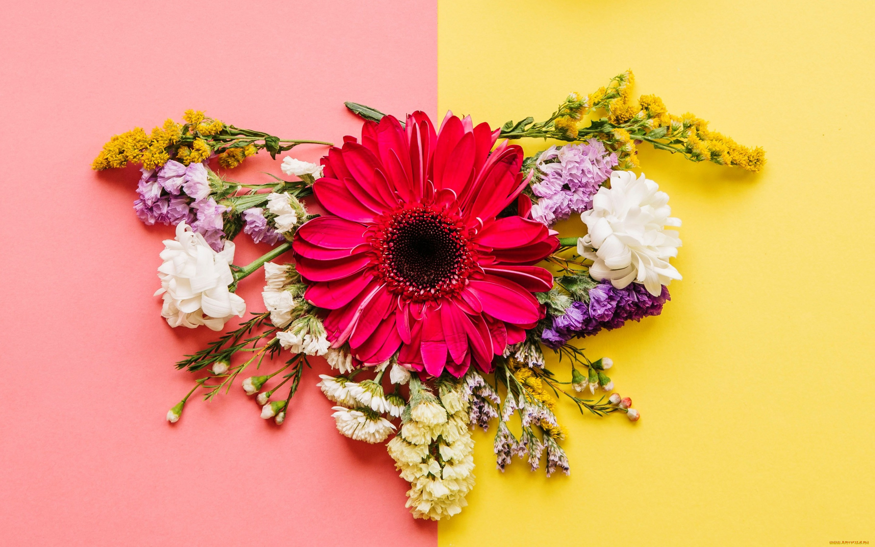 , ,  , , colorful, , bright, , spring, flowers